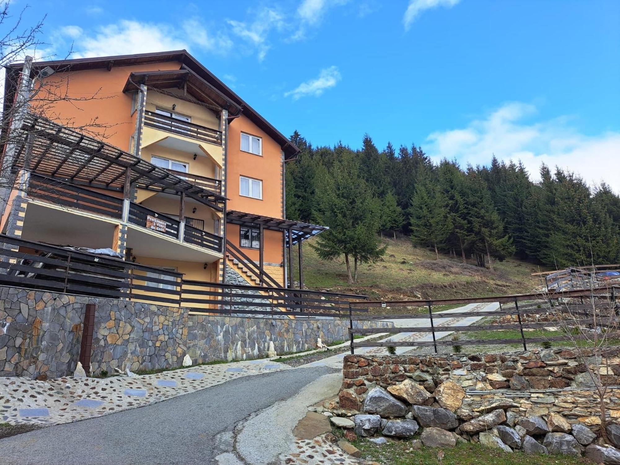 Pensiunea 3Flori De Colt Hotel Statjunea Borsa Exterior photo